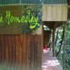 Отель Hoa Dua Homestay, фото 26