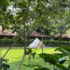 Отель Glamping Resort @ Kranji, фото 9