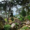 Отель Neelakurunji Plantation Munnar в Муннаре