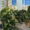 Отель Elegance Suites Quatá, фото 15