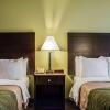 Отель Comfort Inn & Suites St. Pete - Clearwater International Airport, фото 4