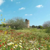 Отель Holiday Home Pueblo - Psr175, фото 3