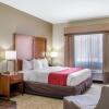 Отель Comfort Inn And Suites Northshore Area, фото 24