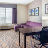 Отель La Quinta Inn & Suites by Wyndham Luling, фото 4