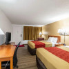 Отель Econo Lodge, фото 22