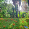 Отель Baya holiday apartment (boao Changtan rainforest), фото 5