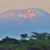 Отель Arumeru River Lodge, фото 6