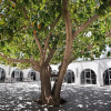 Отель Palmyra Club Nabeul, фото 23