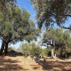 Отель Patara Caretta Hotel, фото 27