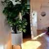 Отель Eclectic seaside 4 bedroom artists residence, фото 11