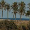 Отель Complejo La Ermita, фото 8