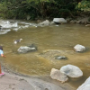 Отель Tayrona Cachaco River, фото 21