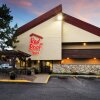 Отель Red Roof Inn Grand Rapids Airport, фото 16
