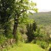 Отель Rural agritourismo with panoramic swimming pool., фото 14