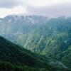 Отель SaffronStays Cliff Haven, Wayanad, фото 2