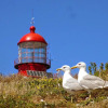 Отель Best Houses 22- Great Location in Baleal!, фото 20