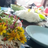 Отель Baan Suan Thip Homestay, фото 14