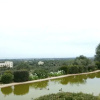Отель Villa Faso, фото 8