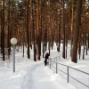 Гостиница Lazurnyj (Novosibirsk), фото 1