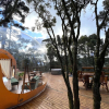 Отель Zion Bubble Glamping, фото 1