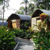 Отель Lirio Lodge, фото 46