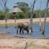 Отель Rhino Safari Camp, фото 9