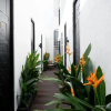 Отель RedDoorz @ Jalan Raya Semat Canggu, фото 10