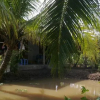 Отель Hong Thai Homestay, фото 7