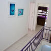 Отель Purple House Hostel, фото 12
