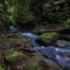 Отель Bali Eco Adventure & Retreat Center, фото 1