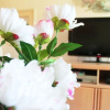 Отель Westridge Condo, фото 7