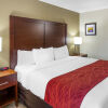 Отель Comfort Inn & Suites Marion I-57, фото 41