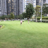Отель Vinhomes Central Park, фото 1