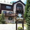 Отель Breckenridge Boutique Hotel в Брекенридже