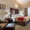 Отель Comfort Inn & Suites, фото 3