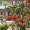 Отель New Pokhara Lodge, фото 1