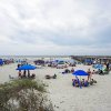 Отель Coastal Condo With Pool Access - Walk To Beach!, фото 16