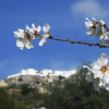 Отель Holiday Home With Private Pool Near Andalusian Village Comares, Malaga, фото 13