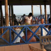 Отель Ave Maria Health & Wellness Resort, фото 26