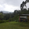 Отель Finca Cafetera el Coral, фото 16
