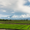 Отель Khoom Kam Kaew Farm & Resort, фото 25