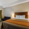 Отель Comfort Inn, фото 5