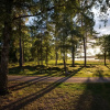 Отель First Camp Stensö Kalmar, фото 17