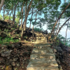 Отель Bukit Shoka Top View Camp, фото 11