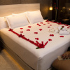 Отель Eb hotel By Eurobuilding Quito Airport, фото 9
