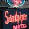 Отель Sandpiper motel в Пляже Вайлдвуд