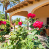 Отель CLAU DE SOL - Great country house with private pool located 4 km from the beach. Free WiFi, фото 25