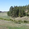 Отель Hampton Inn & Suites Show Low-Pinetop, фото 9