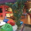 Отель The Yuppi Hippi Female Hostel, фото 4