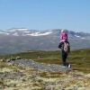 Отель Liatoppen Fjellstue, фото 45